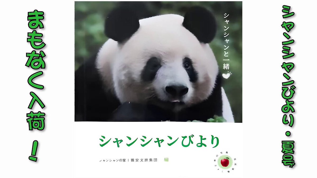 シャンシャン様♡のお家のにさいシャンちゃん♡抱っこシャン♡るあな