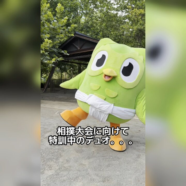 しおりんご Duolingo(デュオリンゴ) | 日本公式🇯🇵 (@Duolingo_Japan) / X