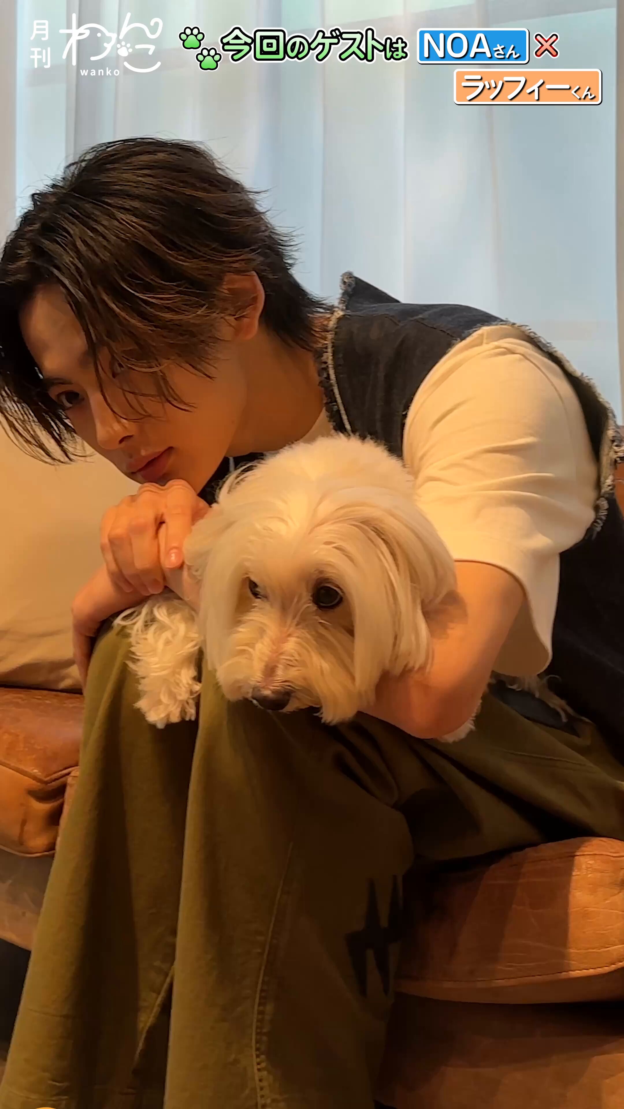 NOA (@noamusic_japan) / X