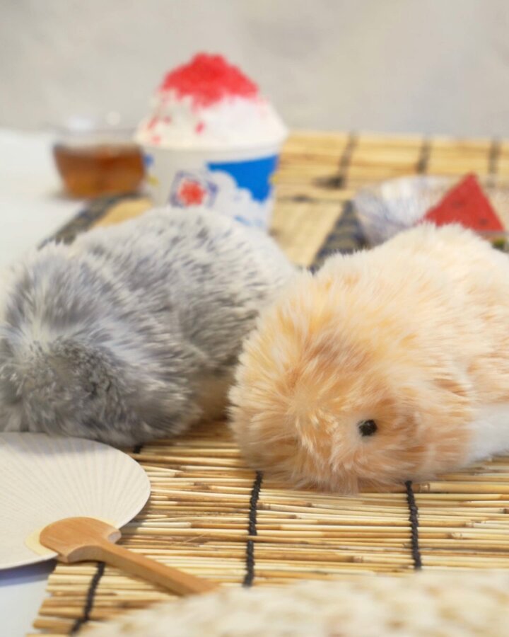 モフリン　動作確認済み　moflin Moflin(ゴールド) | CASIO
