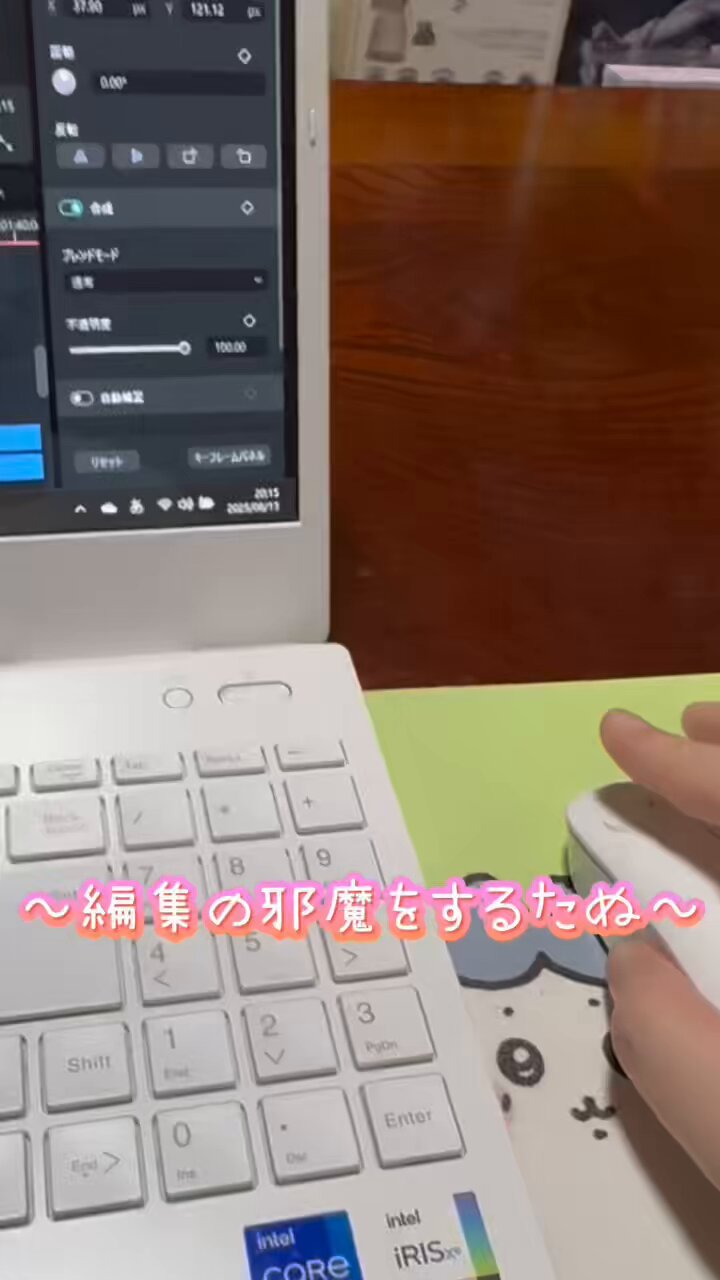 mmmttaaさ専用になりました他の方はご遠慮下さい。アスカ色々 まずいっ、まだ第12の使徒が生き残ってる！”スイッチ入った