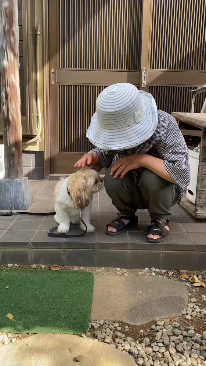 はくとん様❤️おまとめ専用ページです。8/31まで♡ ✨🔥🍠宝(TAKA)🍠🔥✨ on X: 