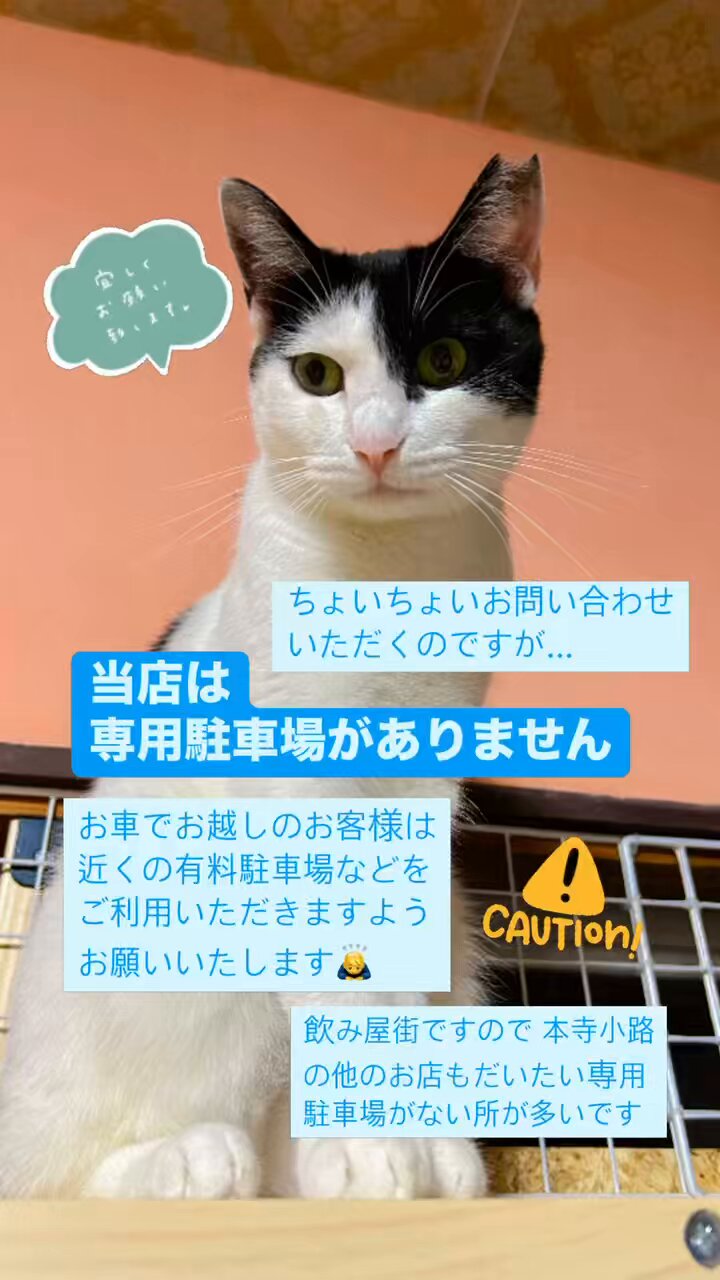 猫好きの料理の本 猫好きの料理の本