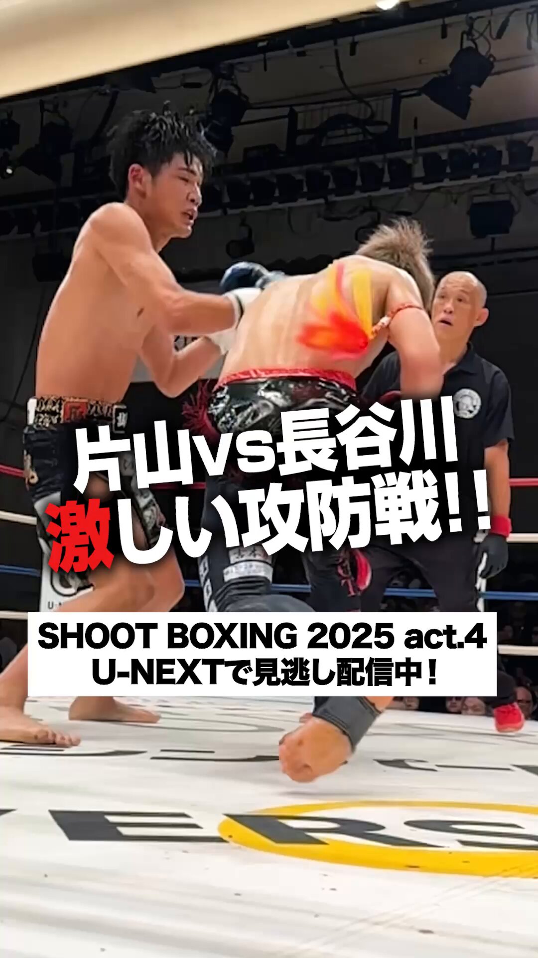 SHOOT BOXING｜シュートボクシング【公式】 on X