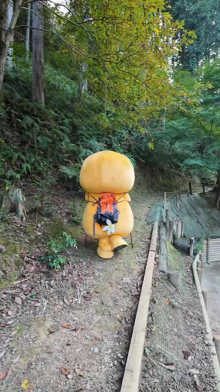 みきゃん【公式】《愛媛県イメージアップキャラクター