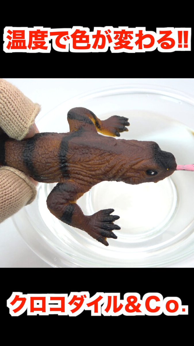 トイザらス - デアゴスティーニCrocodiles &amp; Co. It glows! It changes color! It stretches! DeAgostini 