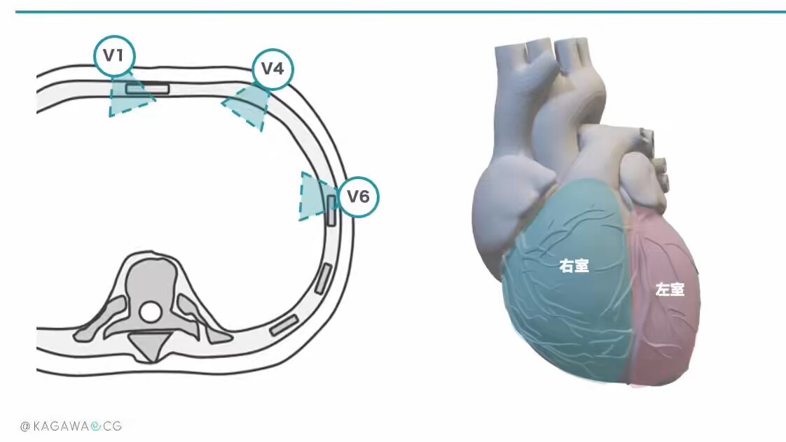 実力心電図 心電計 ECG-2400シリーズ｜心電計｜製品情報｜医療関係の皆様へ
