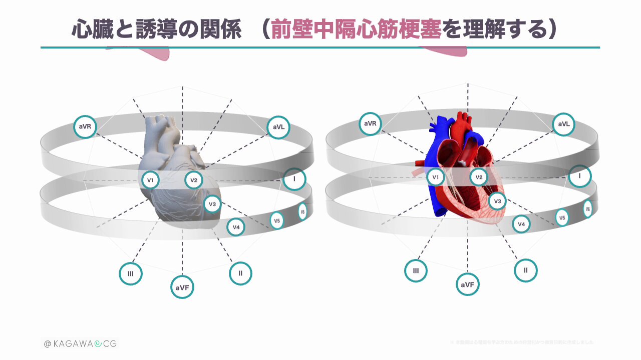 心電図.com (@sindenzu1) / X