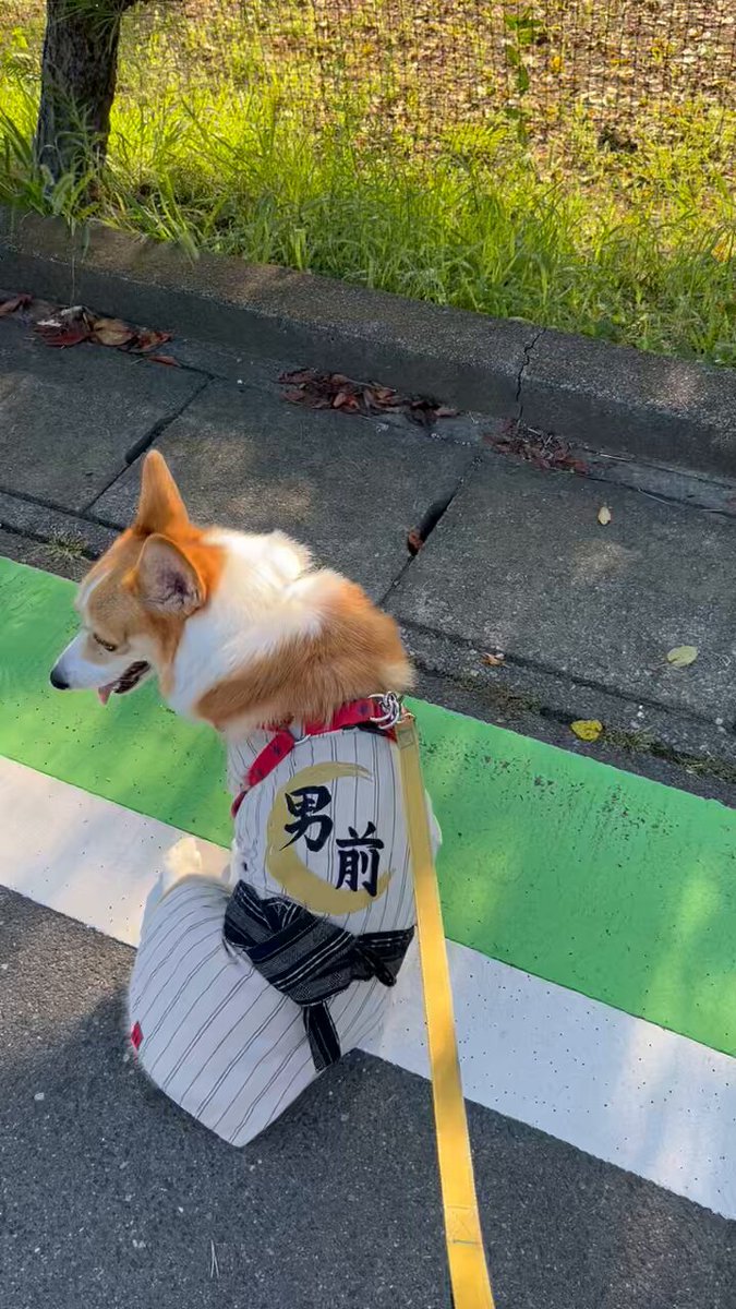ロイヤルコーギーの壁掛け（制作中） JohnnyTheCorgi🇯🇵 (@CorgiJohnny) / X