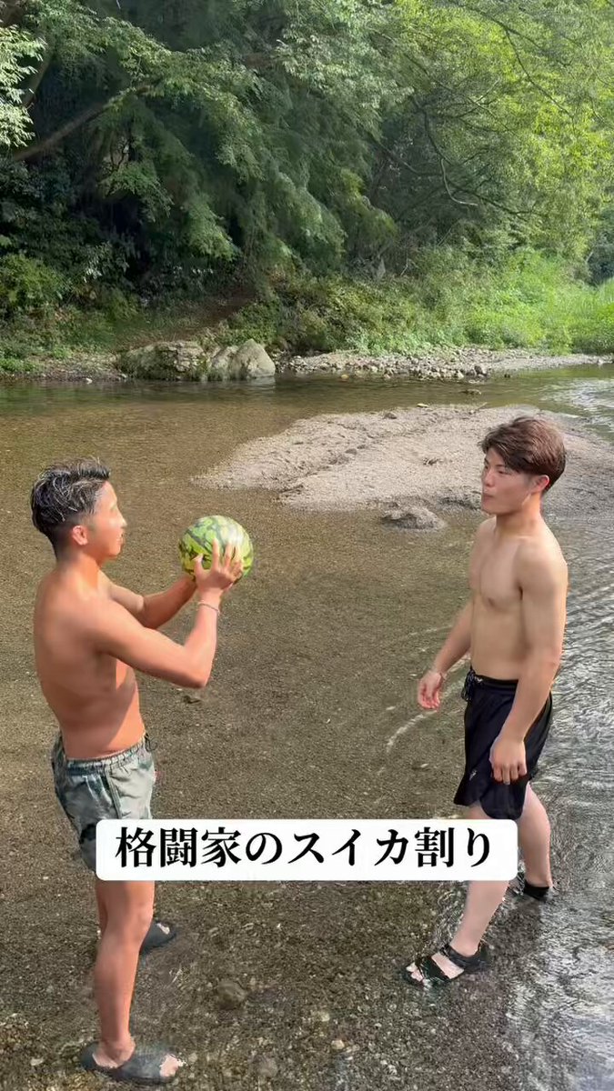 山田太郎 山田彪太朗 (@kotaro4326) / X
