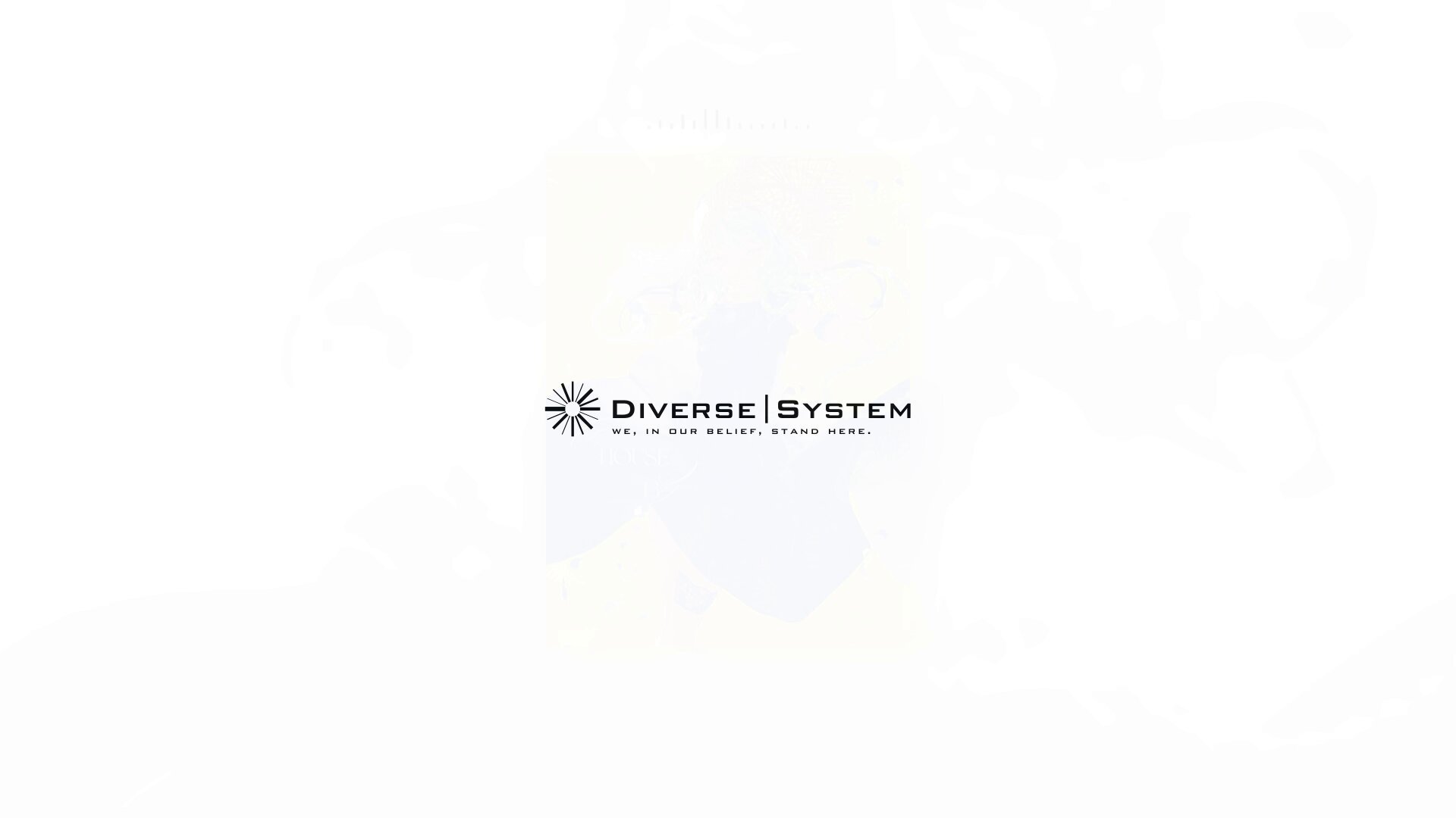 Diverse System (@DiverseSystem) / X