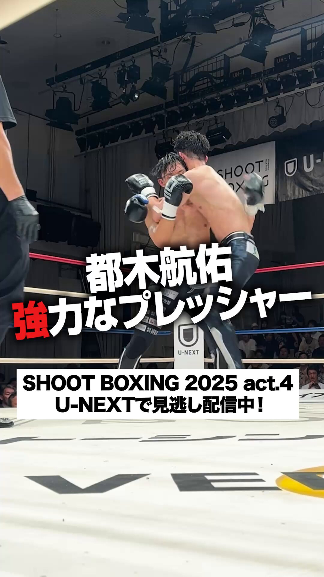 SHOOT BOXING｜シュートボクシング【公式】 on X
