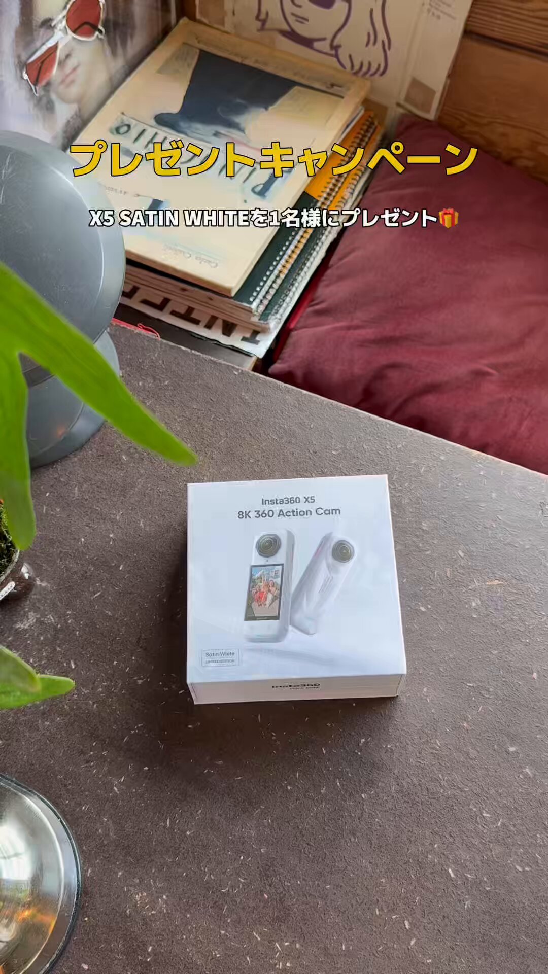 猫次郎 Amazon | Isaac Trading 猫がいます ペット 飛び出し 脱走 防止