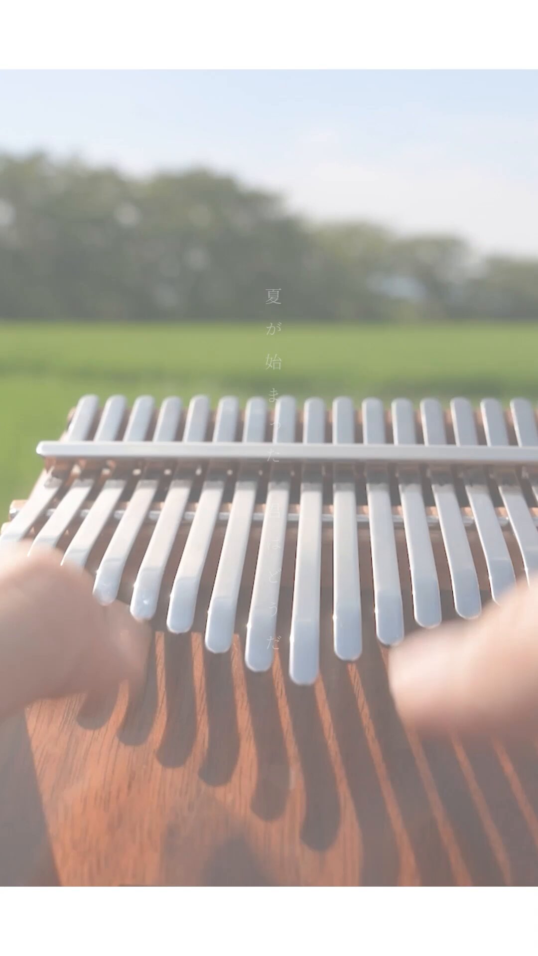 Misa カリンバ Amazon | Misa Kalimba Music 17misalogo1 カリンバ楽譜付き教則
