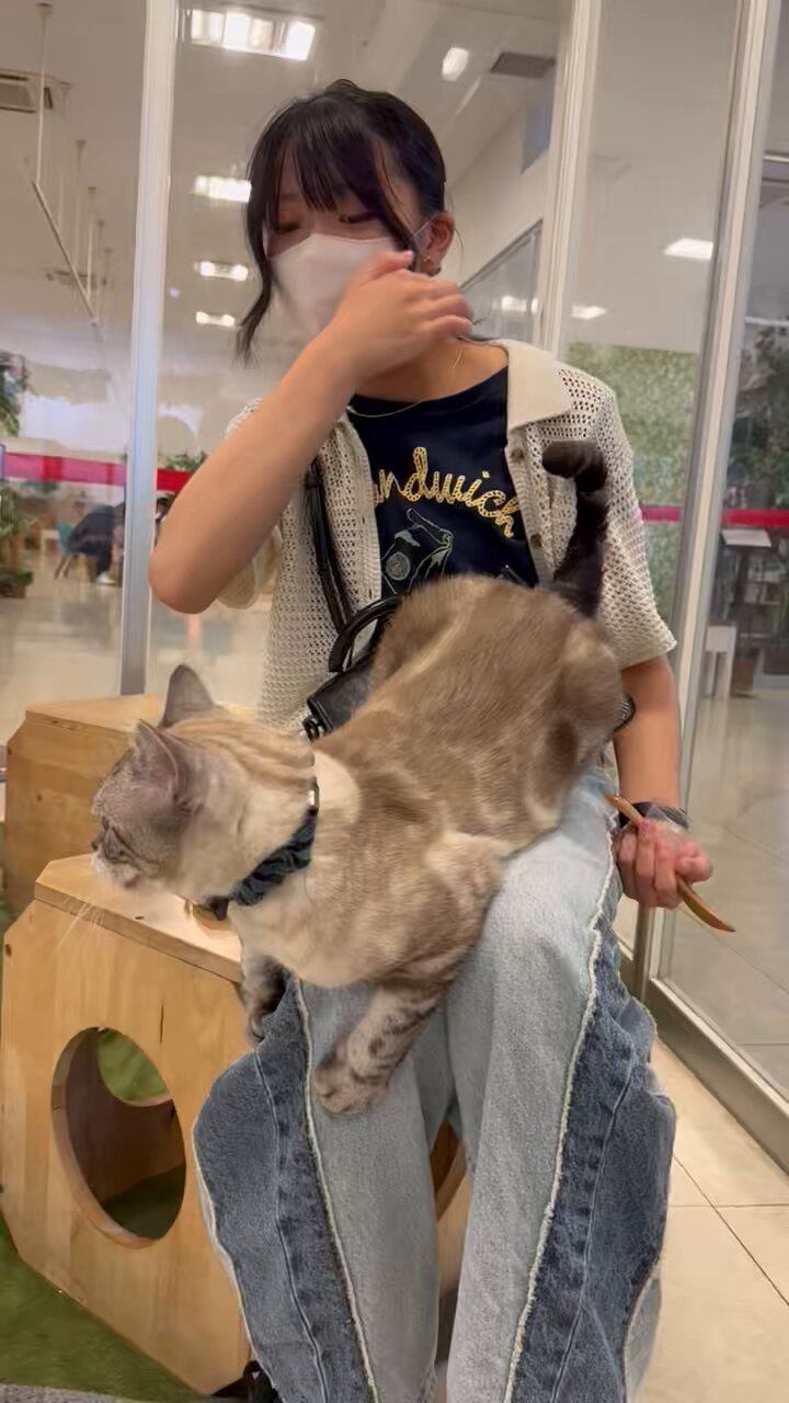 くっろ🦜 on X: 