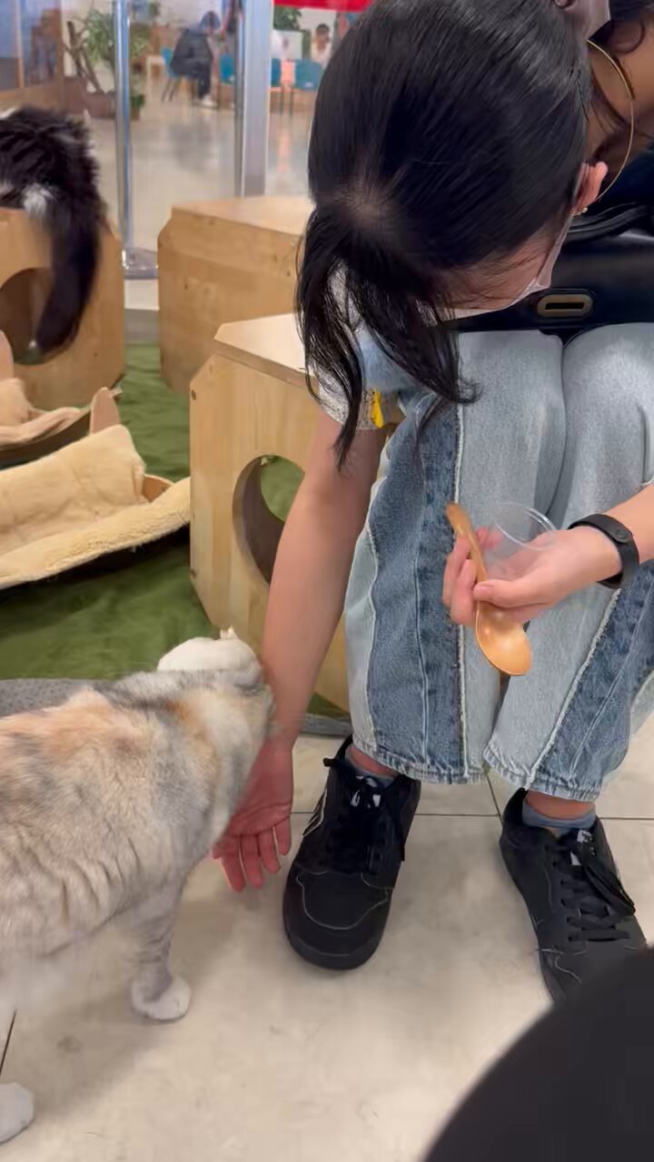 くっろ🦜 on X: 