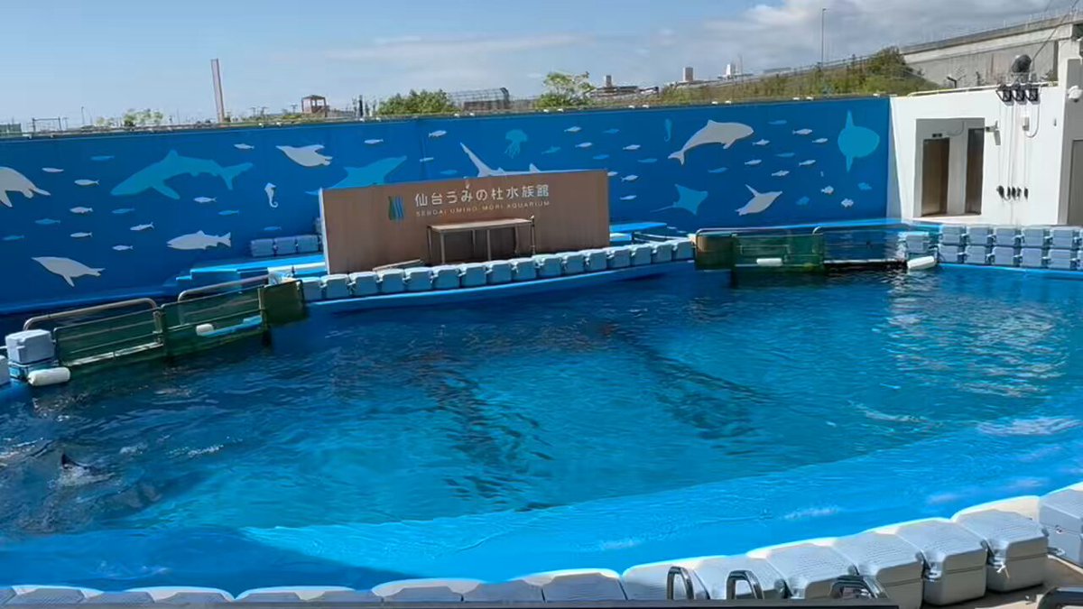 やっさんです❣️ 勝又 啓就 | Shutokō Battle Rival Database Wiki | Fandom