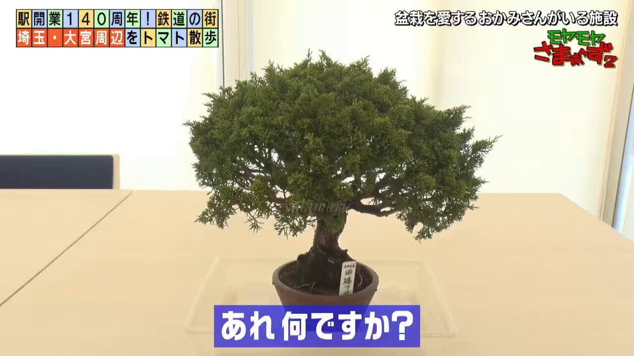 【新品未開封あり✨セル版】 「内村さま〜ず」 「モヤモヤさま〜ず」 まとめ 楽天市場】モヤモヤさまーずの通販
