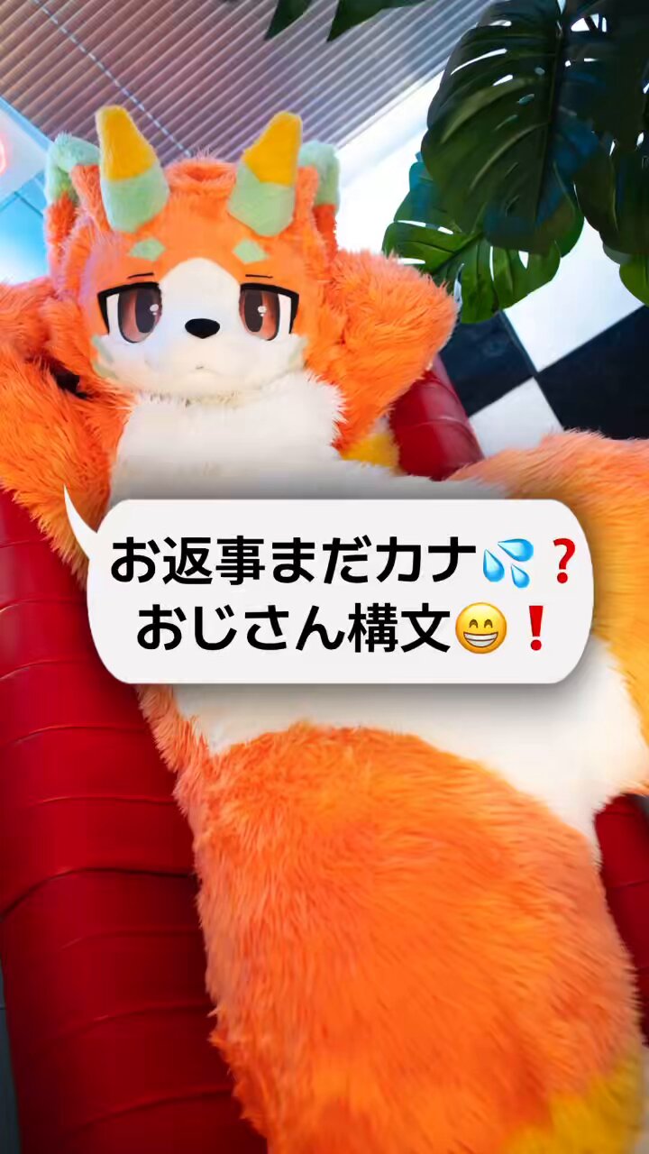 れ*ゃ様 コヤンイサムチョン♡着ぐるみオッドアイにゃんの大人可愛いデニムフリルサ むむむ。@c106 お手伝い on X: 