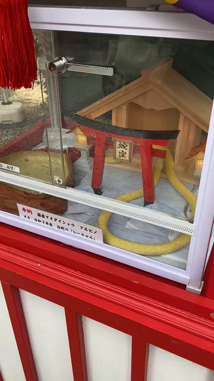 YUKIKO☻さまオーダー＊白蛇抜け殻入りお守り＊５点 YUKIKO☻さまオーダー＊白蛇抜け殻入りお守り＊5点 白蛇抜け殻