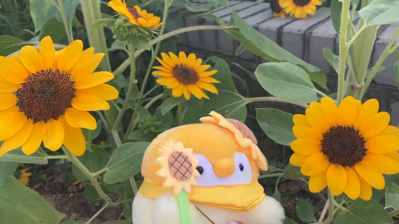 ゆう on X: 
