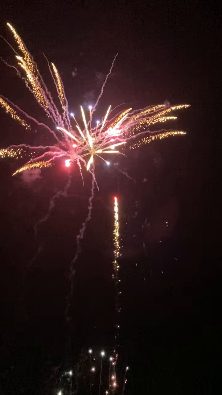 花火 夜空に咲くキセキの花🎇大曲の花火 2025 version）』TEAM AKITA