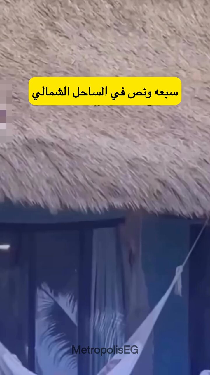 @MetropolisEGs video Tweet