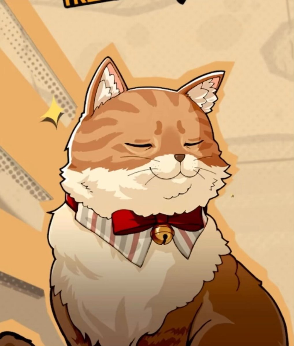 猫ちゃん　茶トラ 茶トラ猫さん
