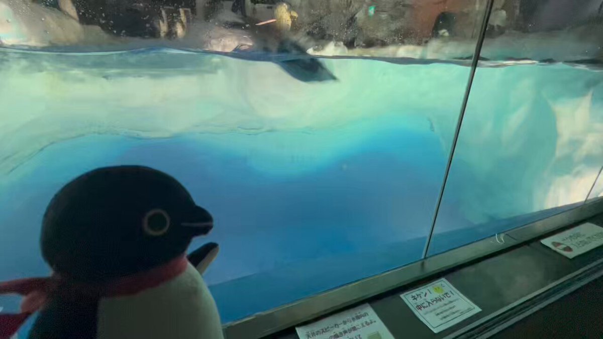 ☆ペンギン☆ (@penguin00000001) / X