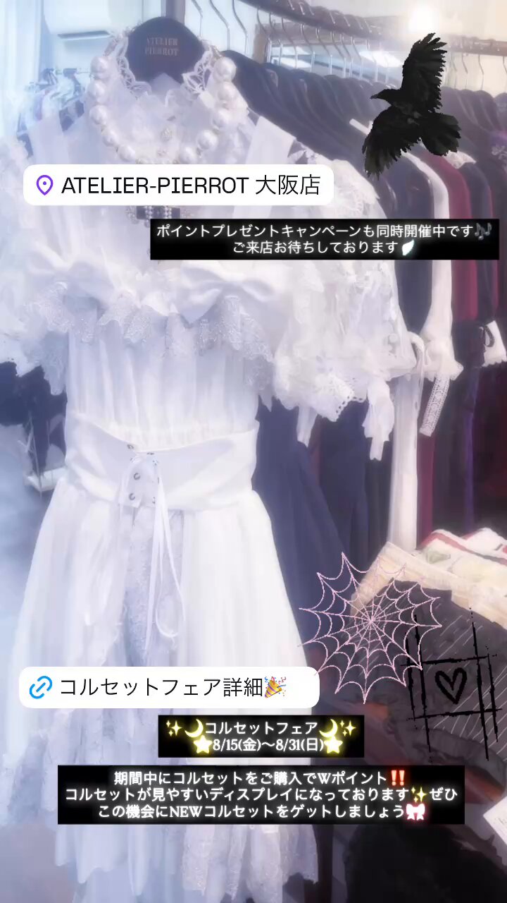 【梅 】リクエスト御礼リピ割 アロエ ポリフィラ 4株セット&グラキリス セール】 シアーフラワーエンボスブラウス /洗える （シャツ