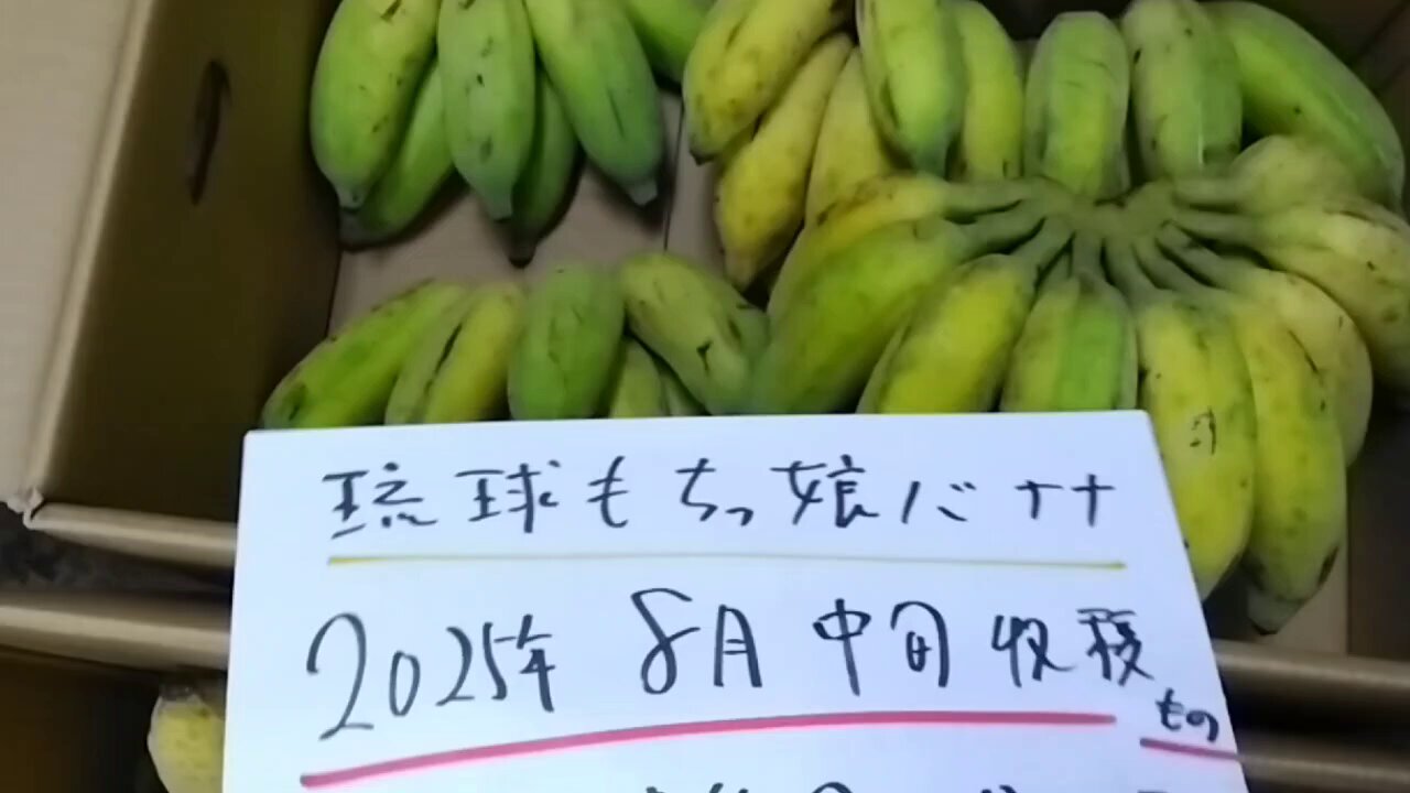 沖縄物産 真南風(まはえ)の新井 on X: 