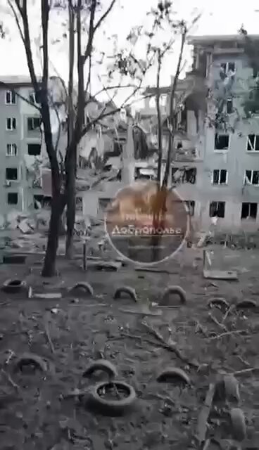 Sport shortilarida bexosdan