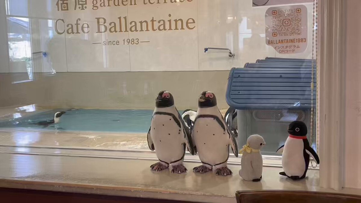 1点限り♡未使用　新作ペンギンが可愛いスタンプ&ダイ　スタンピンアップ￼ 楪┊︎ C106(日)西1 ね-26ab on X: 