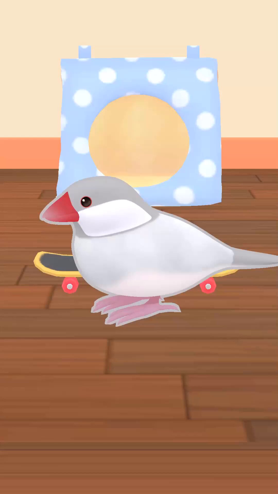 リピーター様⭐︎むつ文鳥 幸せな文鳥ライフ - Cerca / X