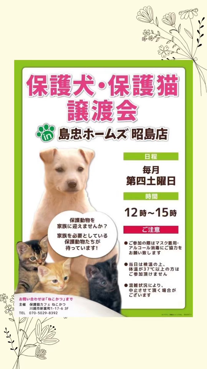 ねこねこ横丁 (@nekoyoko_web) / X