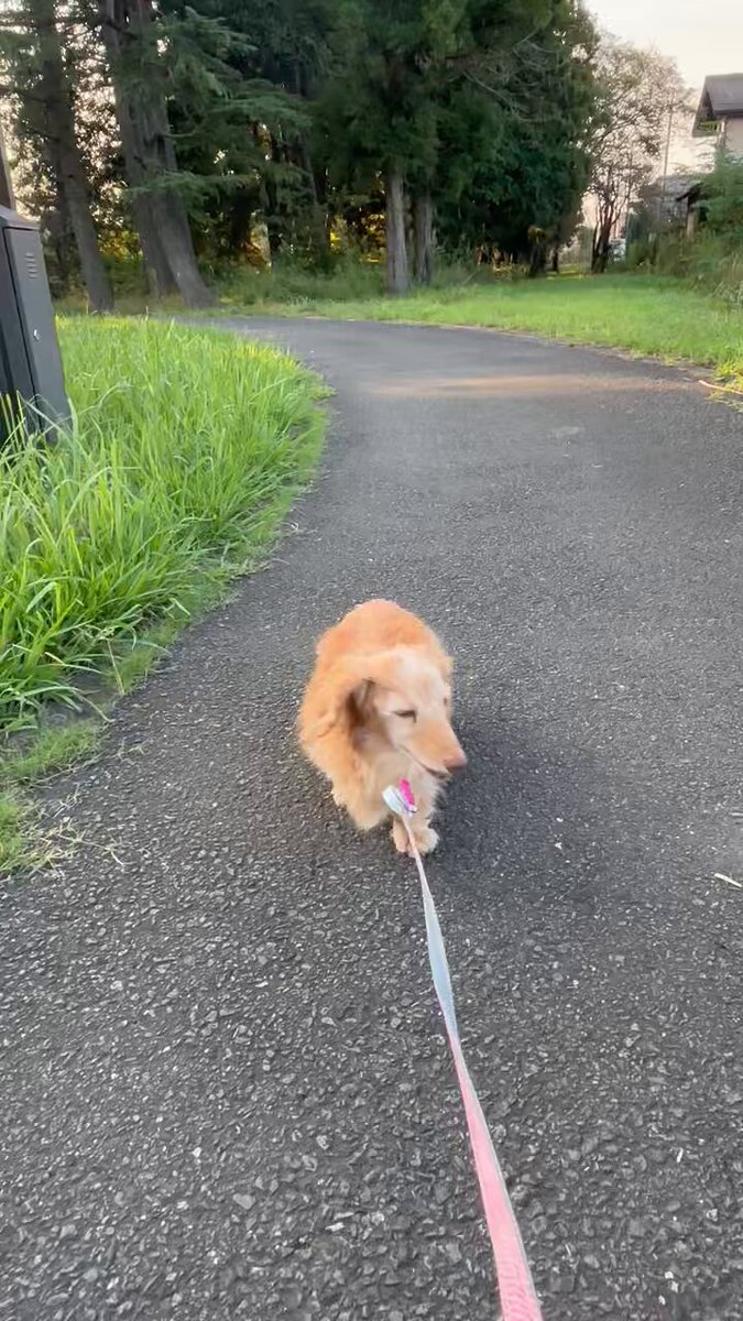 マーシーです　ありがとうございました Marcy - Present / THE FIRST TAKE - YouTube