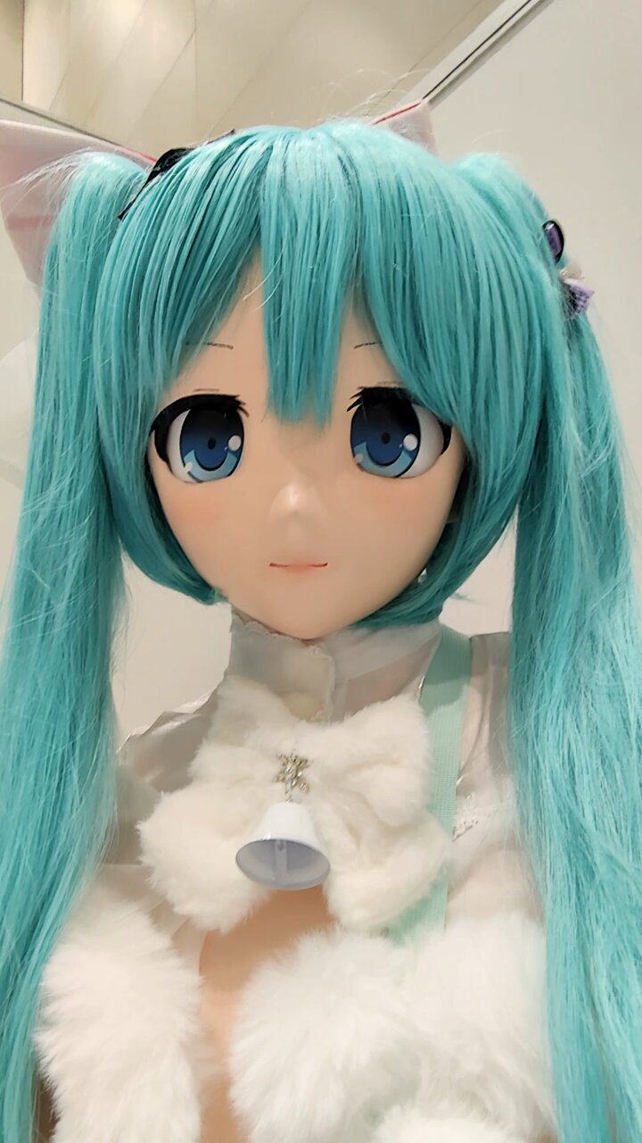 にゃーさん にゃにゃ(ฅ•ω•ฅ)ﾆｬｰ (@nyanya0194) • Instagram photos and videos