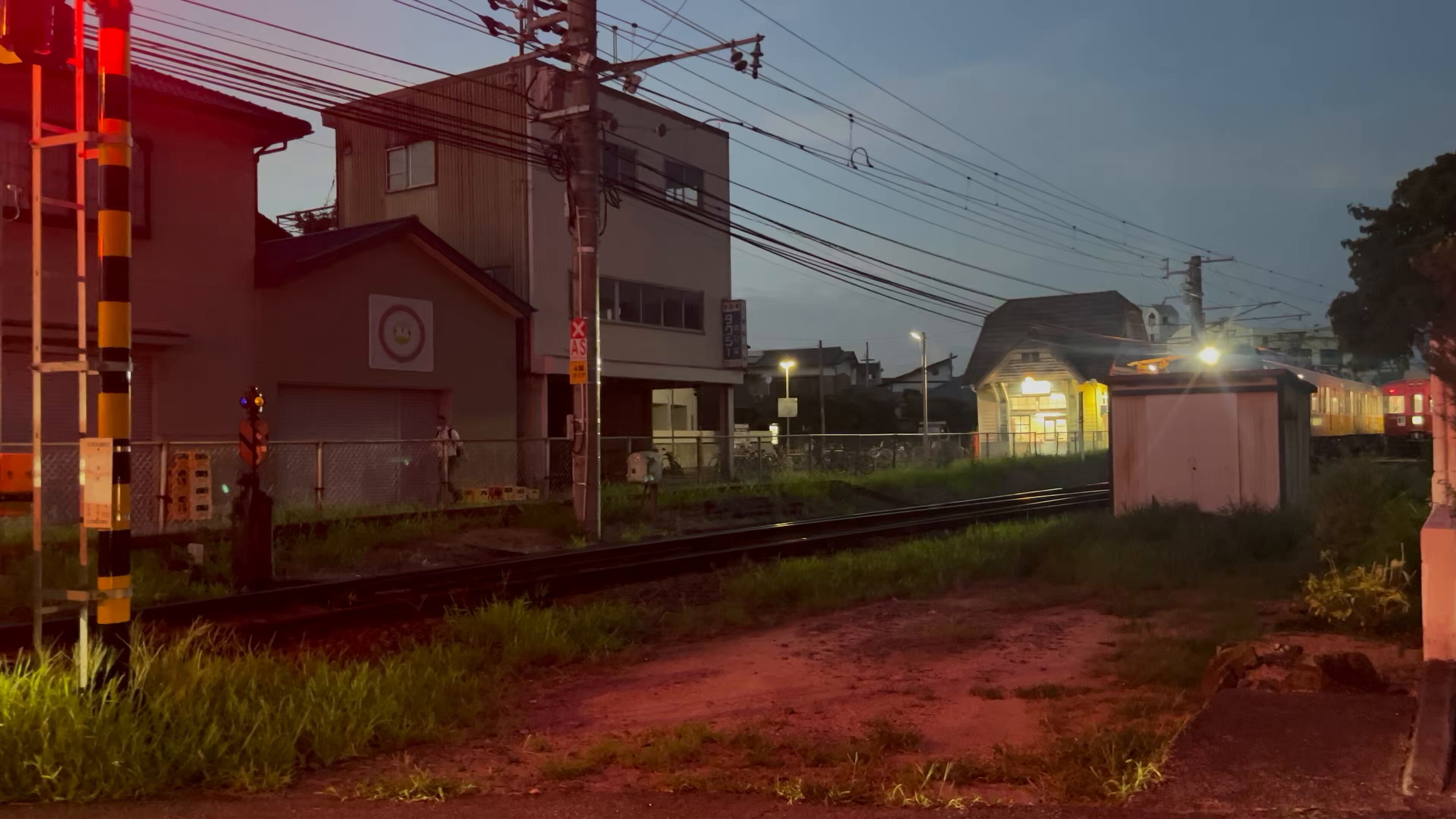 アル✨春爛漫[トイ•プードルファミリーのお花見] うさみみプードル・プやんのパパ (@nagaoyoshio) / X