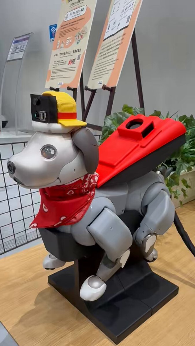 AIBO - Search / X