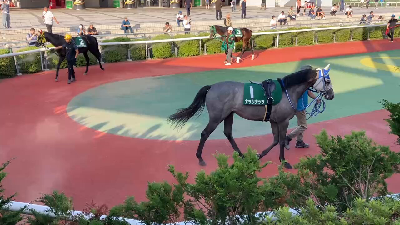 【中古】30years Iwate Keiga 岩手県競馬組合30周年記念誌 岩手県競馬組合30周年記念誌 / 古本、中古本、古書籍の通販は