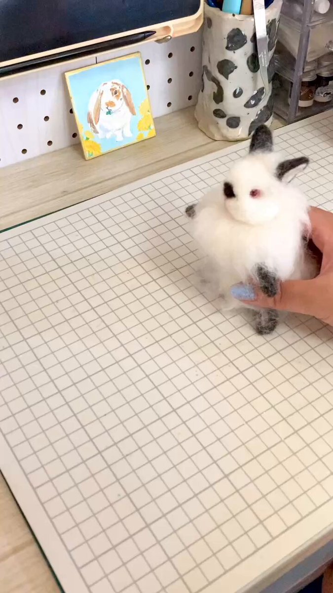 Bunny♡s'shop SEVEN's Bunny @nana (@sevensbunny) / X
