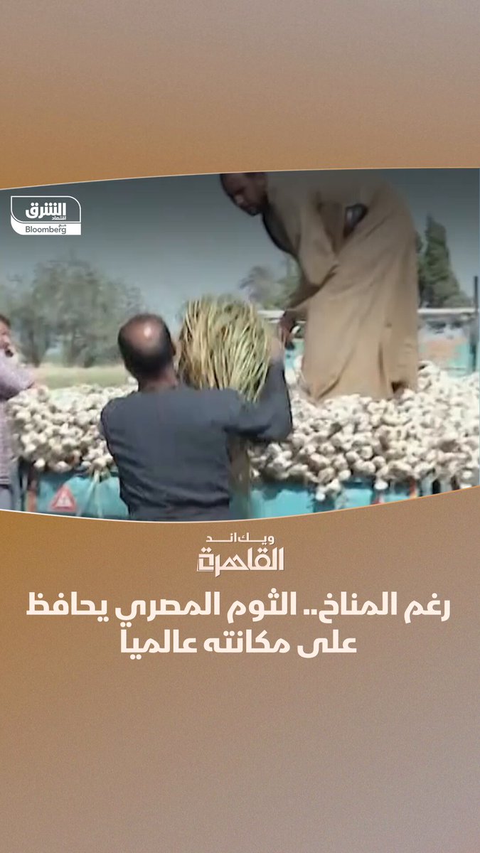 رغم التغيرات المناخية.. الثوم المصري يحافظ على مكانته عالميا ب 17 ألف جنيه للطن. ترقبوا الموسم الجديد من برنامج ويك اند القاهرة مع زينة صوفان في بداية شهر سبتمبر. من التقارير والمقابلات: ويك اند القاهرة مع زينة صوفان #الشرق_مصر 