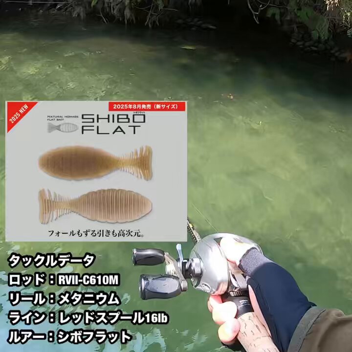 JACKALL BASS FISHING (@JACKALL_Inc) / X