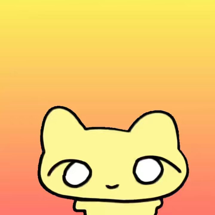 ねこちゃん こんにゃく (@konchan1984) / X