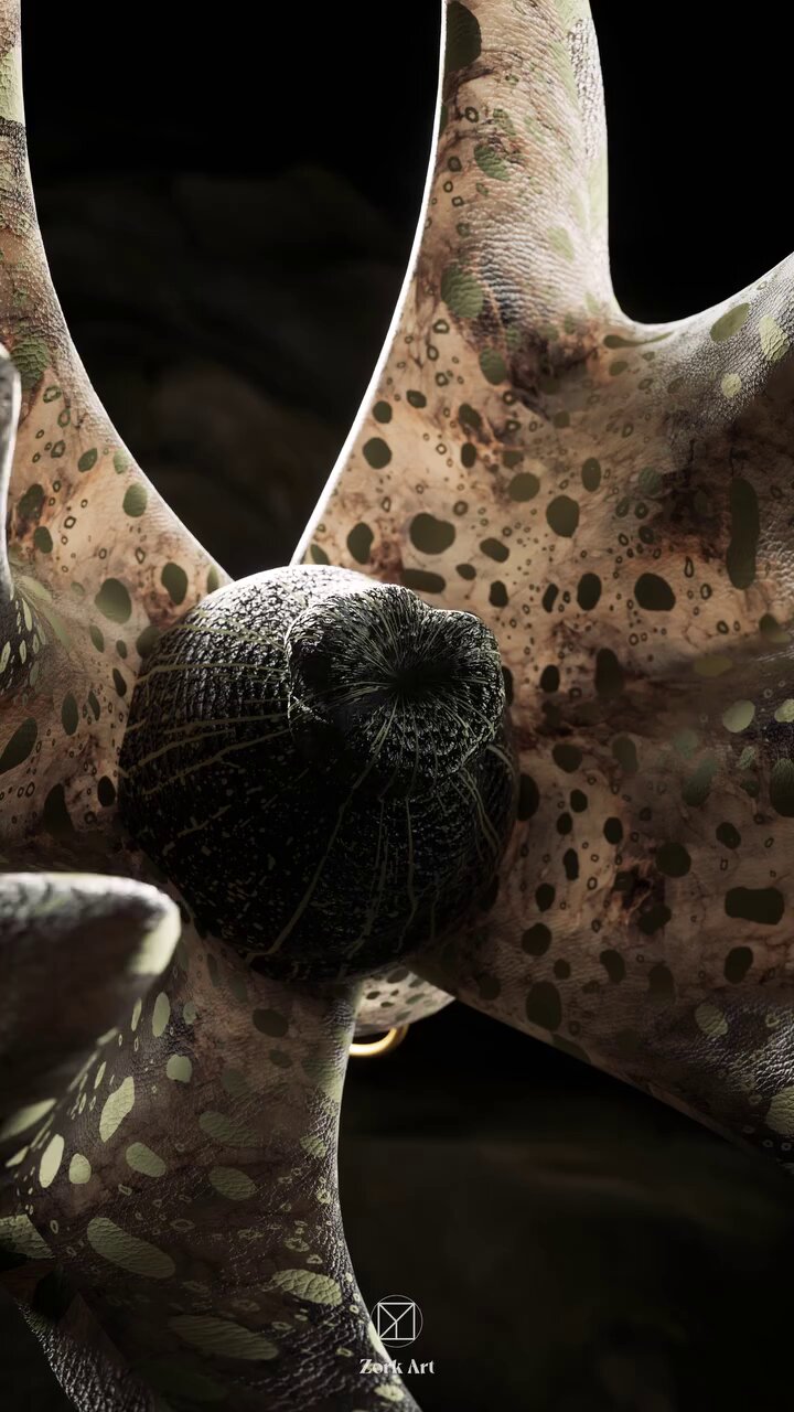 Visual Atelier 8 on X: 
