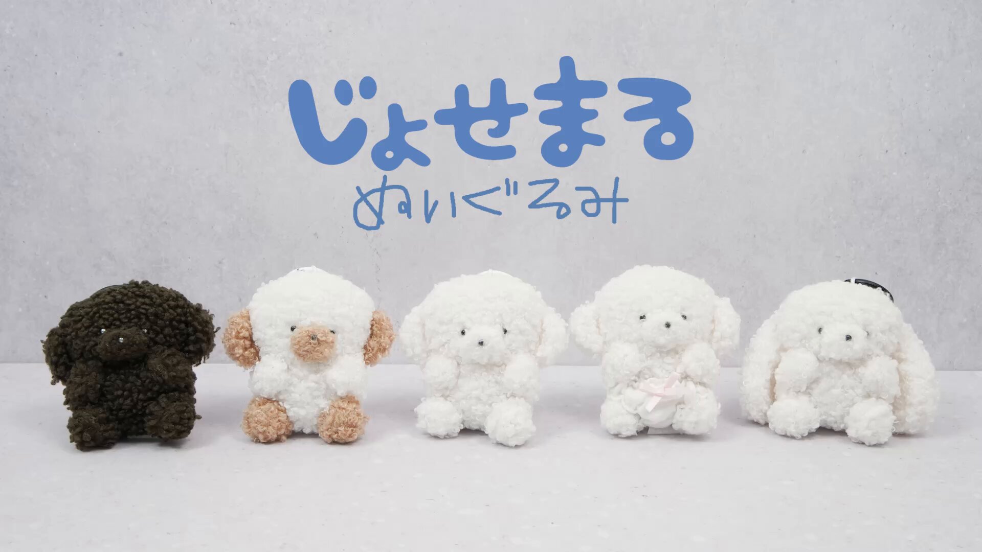 向日葵 様♡すのチルぬいかつら 向日葵様♡すのチルぬいかつら