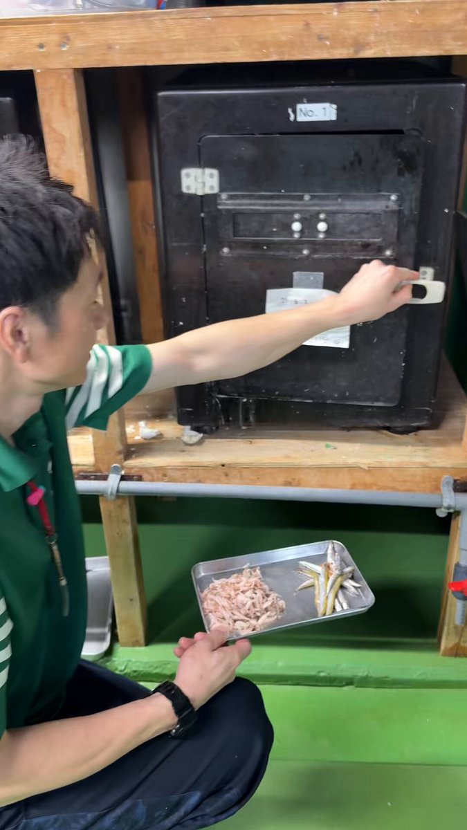 ほっぺん様の5点専用ページです。 在庫有・即納】GENTOS(ジェントス) ヘッドライト HW-G533H LED