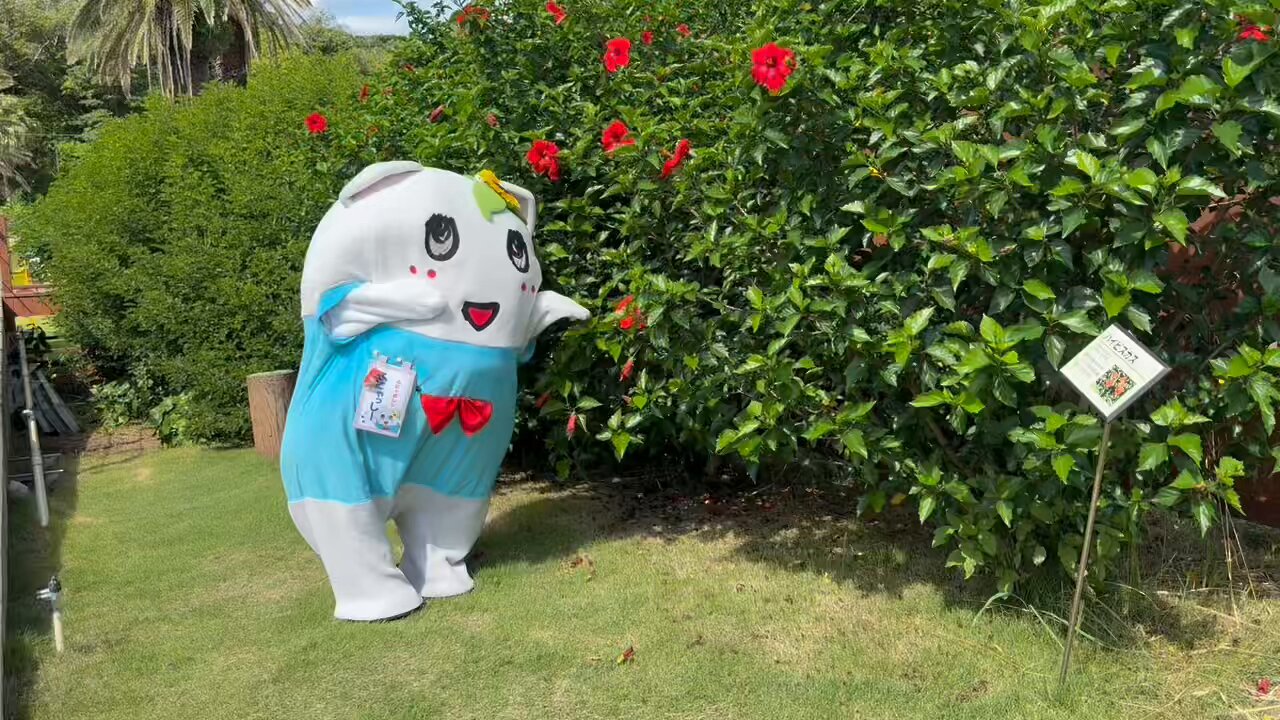 442 ふなっしー様 ふなっしー💙 (@funassyi) / X