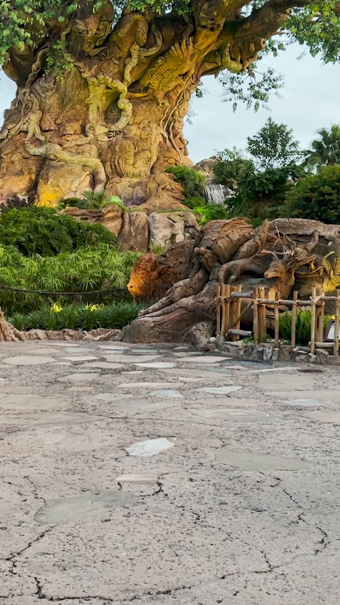 ランド限定☆彡などディズニーストラップ色々( ´艸｀)♡♡♡♡ ランド限定☆彡などディズニーストラップ色々( ´艸