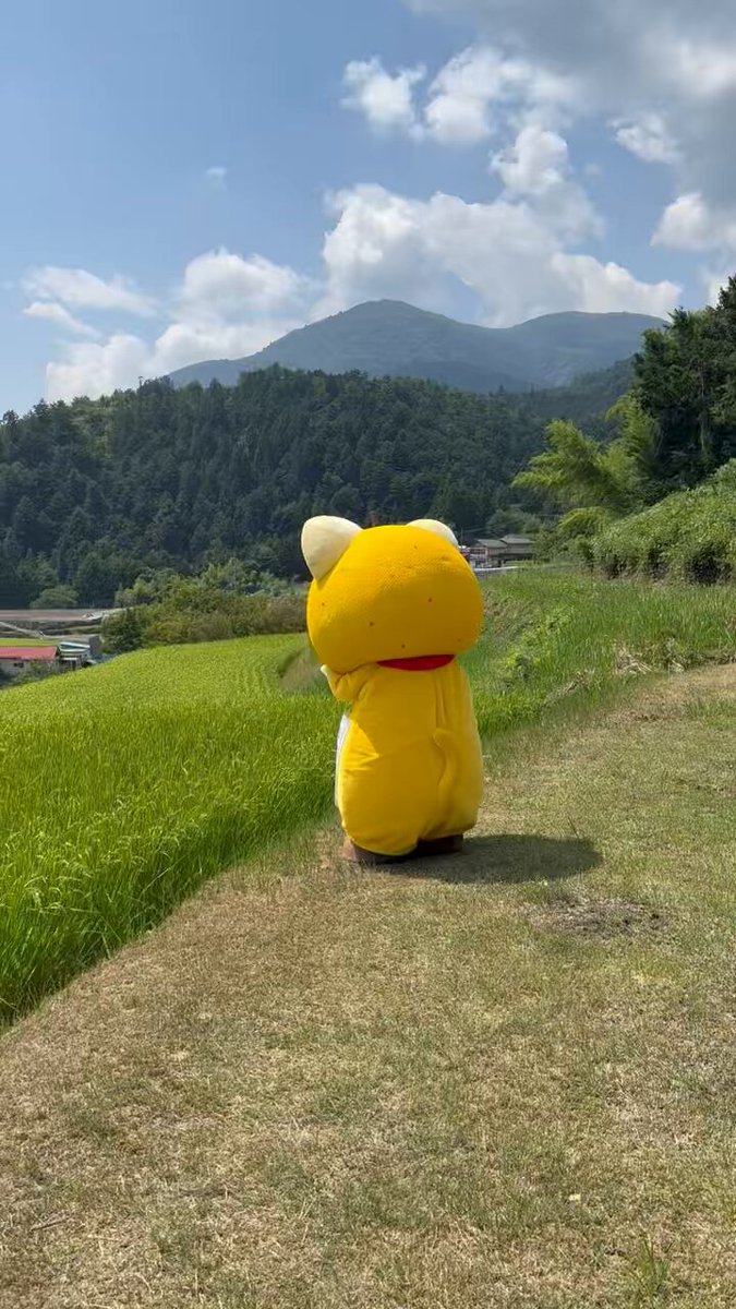 ❣️運気アップ❤蝶と花のパズル❤ チャイルドパズル47P ひらがなおぼえましょ ｜【公式】ポケモン